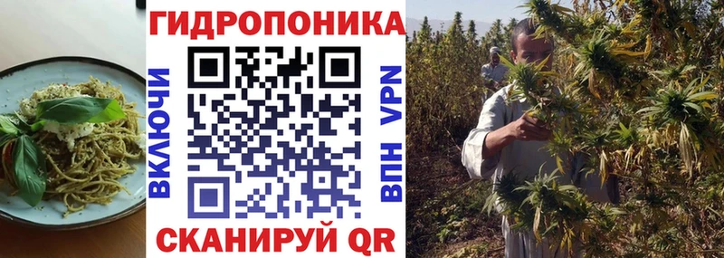 МЕГА как войти Сызрань Cannafood конопля