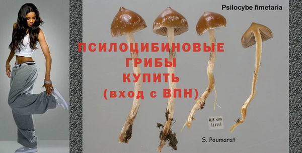 мяу мяу мука Аркадак